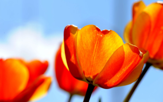487163 (a): :2560x1600